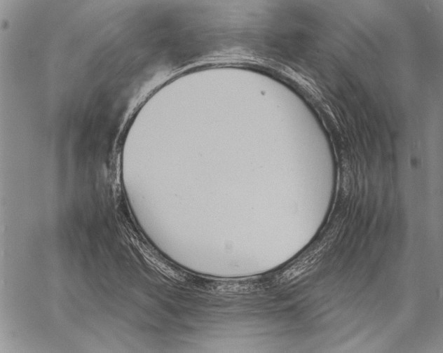 X0000060551366200512011605