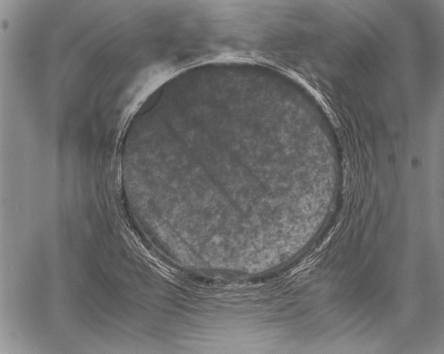 X0000060551367200512011605