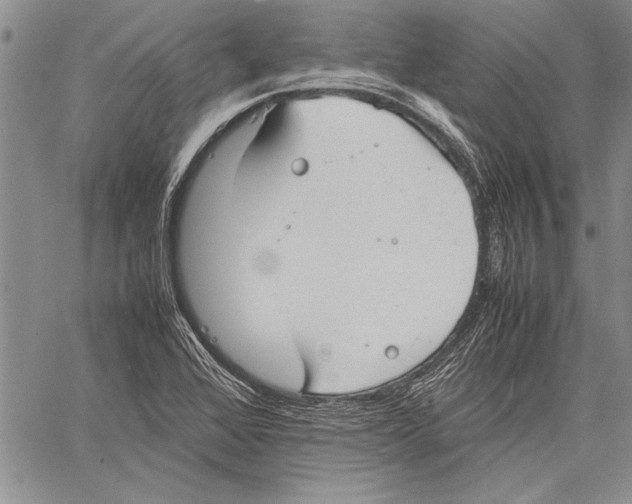 X0000060551368200512011605