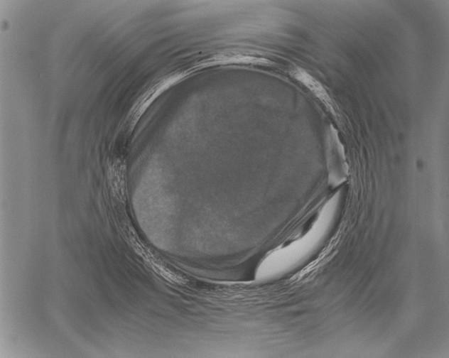 X0000060551369200512011605