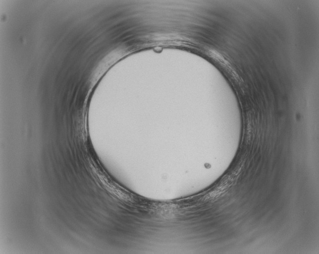 X0000060551370200512011605