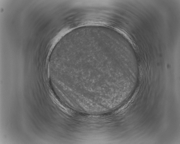 X0000060551371200512011605