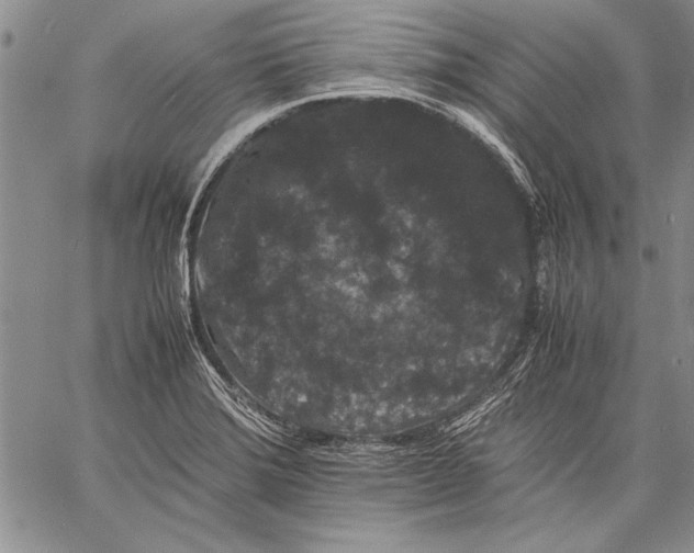 X0000060551372200512011605