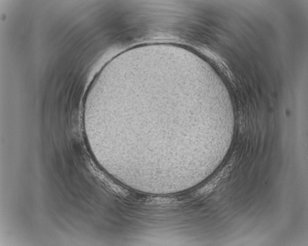 X0000060551374200512011605