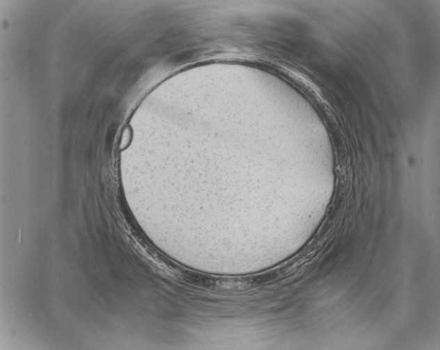 X0000060551375200512011605