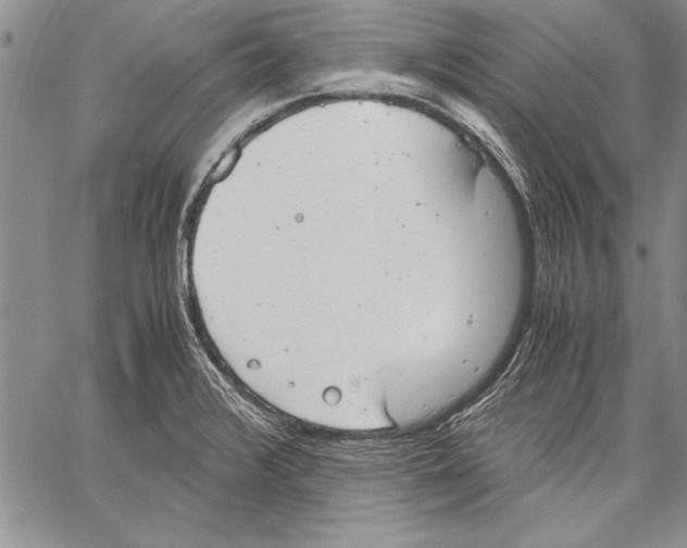 X0000060551376200512011605