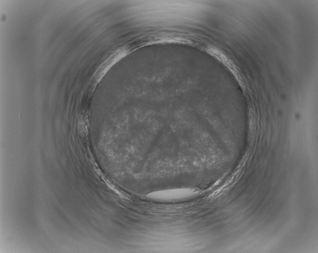 X0000060551377200512011605