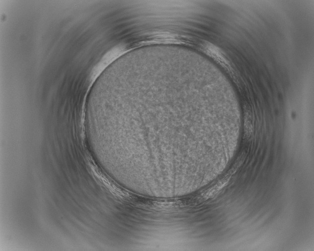 X0000060551378200512011605