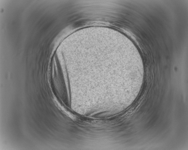 X0000060551379200512011605