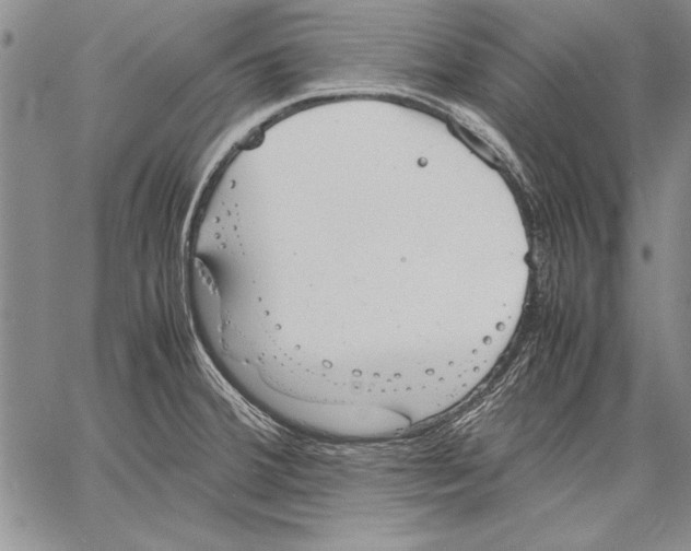 X0000060551380200512011605