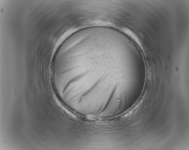 X0000060551381200512011605