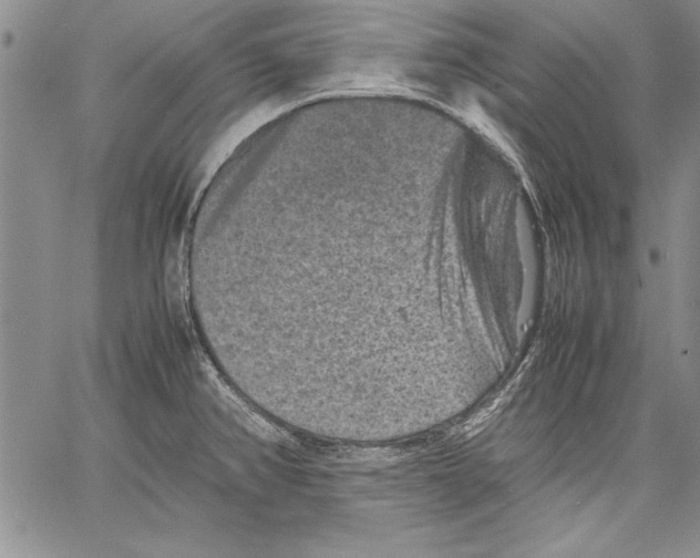 X0000060551382200512011605