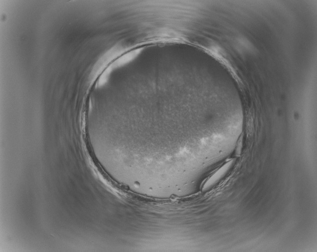 X0000060551383200512011605