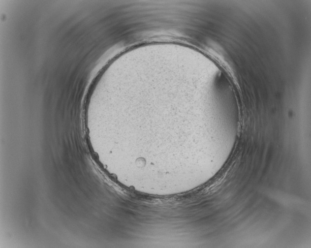 X0000060551384200512011605