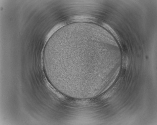 X0000060551386200512011605