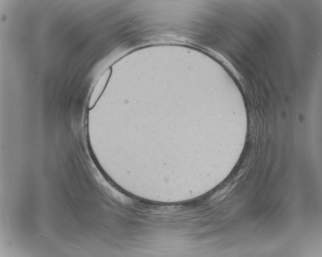 X0000060551387200512011605