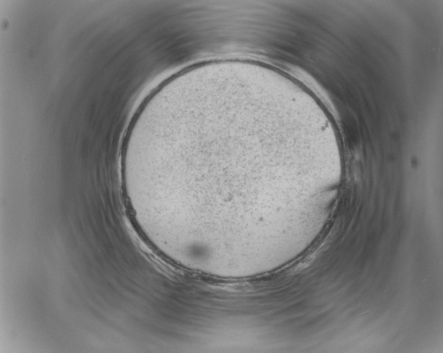 X0000060551388200512011605