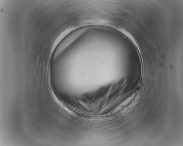 X0000060551389200512011605