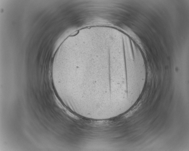 X0000060551390200512011605