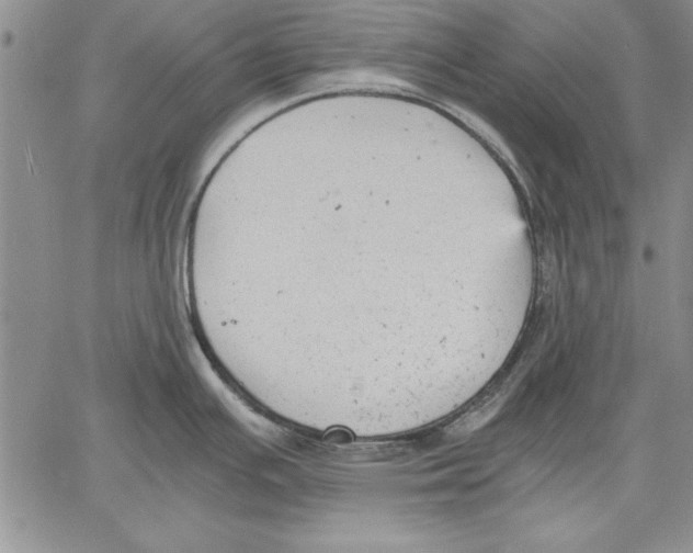 X0000060551391200512011605