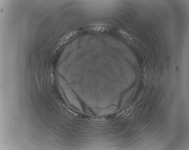 X0000060551394200512011604