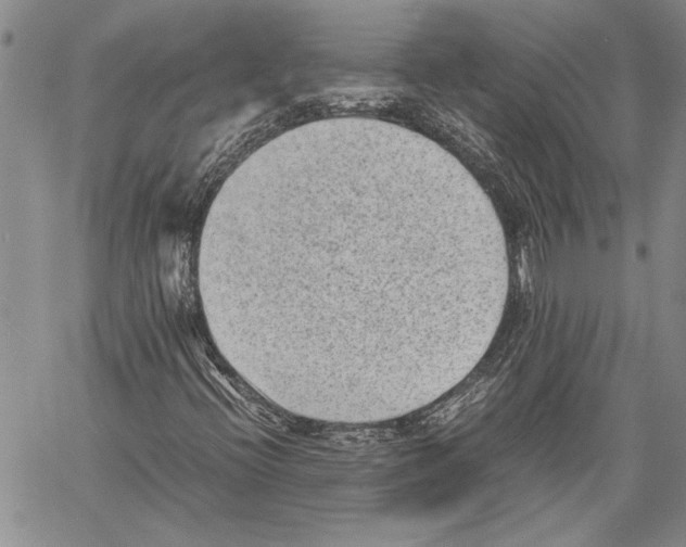 X0000060551396200512011604