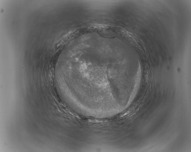 X0000060551397200512011604