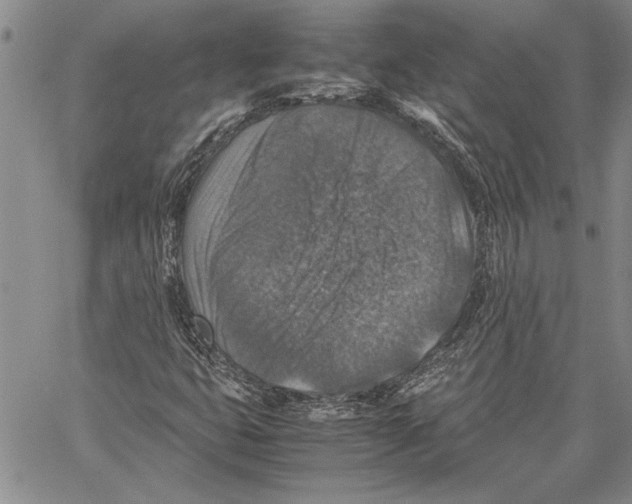 X0000060551399200512011604