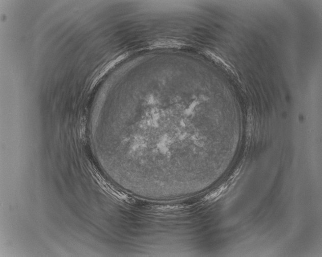 X0000060551401200512011604