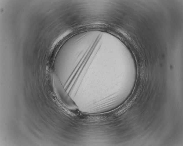 X0000060551402200512011604