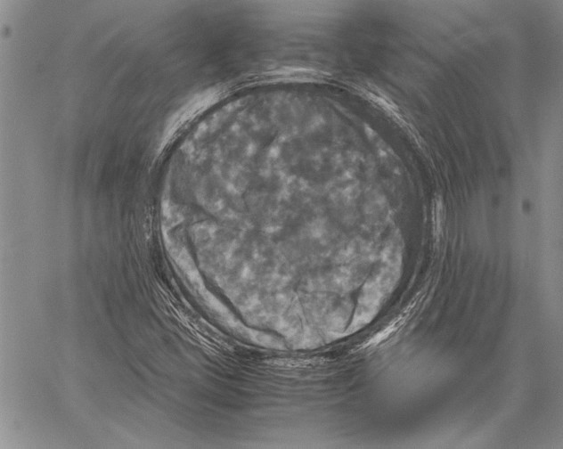 X0000060551405200512011604