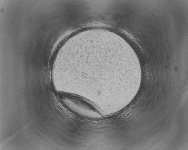 X0000060551408200512011604