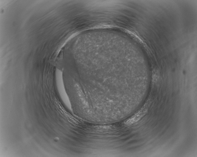 X0000060551409200512011604