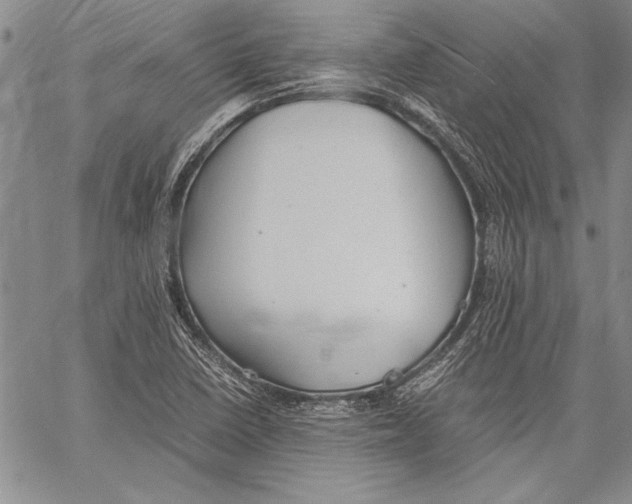 X0000060551410200512011604