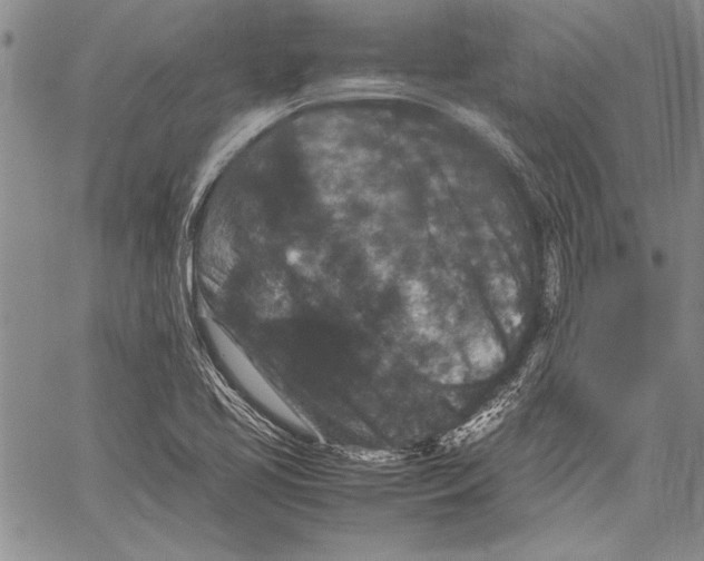 X0000060551413200512011604