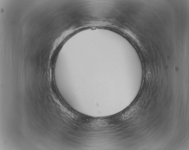 X0000060551414200512011604