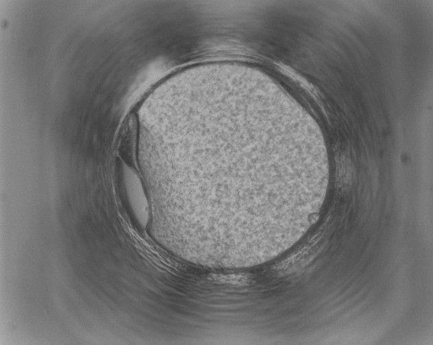 X0000060551415200512011604