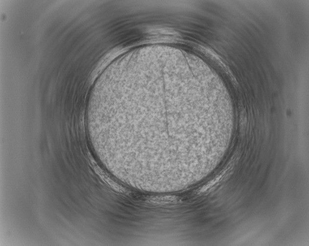 X0000060551417200512011605