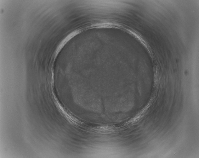 X0000060551418200512011605