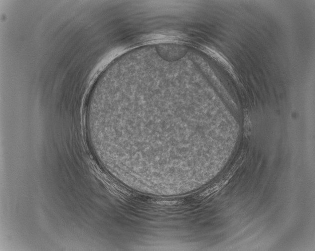 X0000060551419200512011605