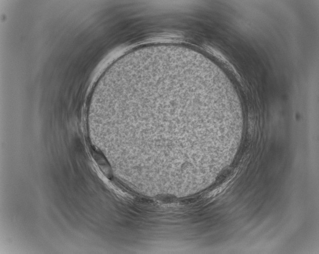 X0000060551421200512011605