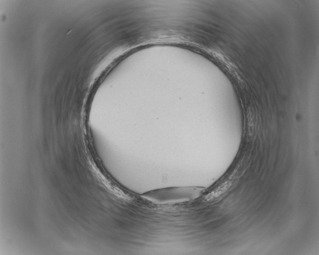 X0000060551422200512011605