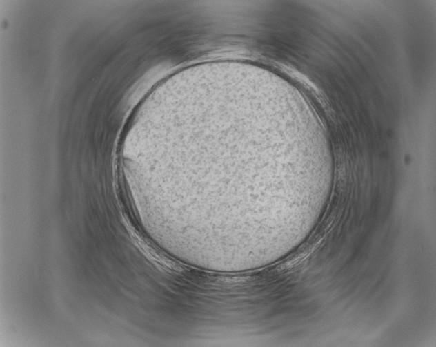 X0000060551423200512011605