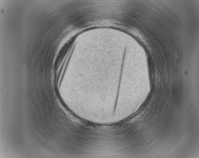 X0000060551424200512011605