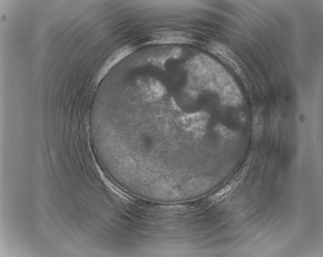 X0000060551425200512011605