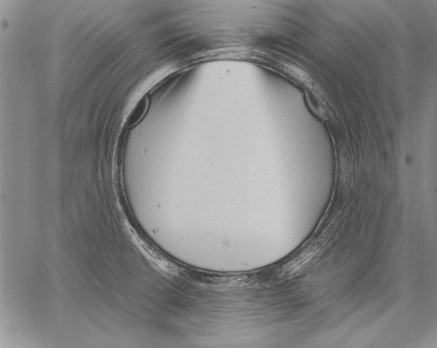 X0000060551426200512011605