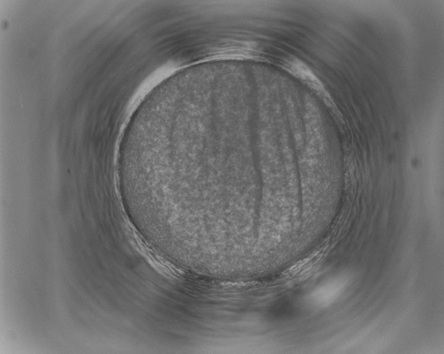 X0000060551427200512011605