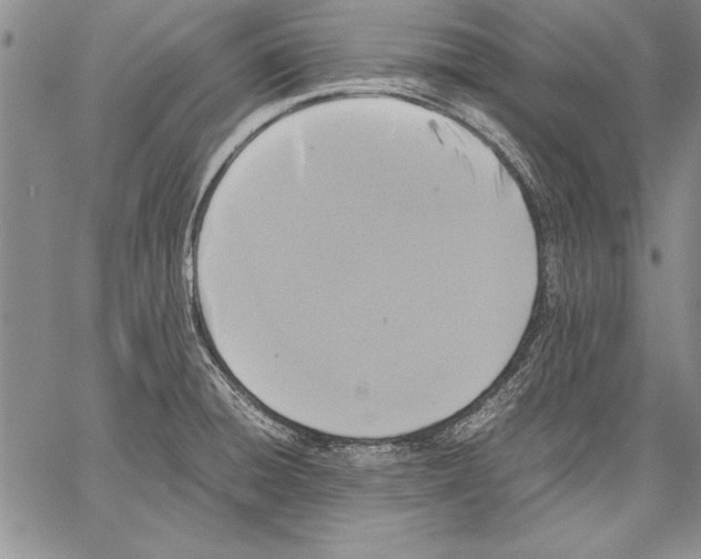 X0000060551428200512011605