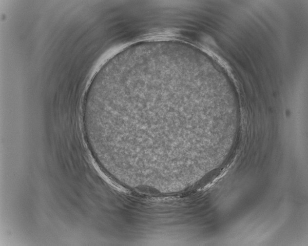 X0000060551429200512011605