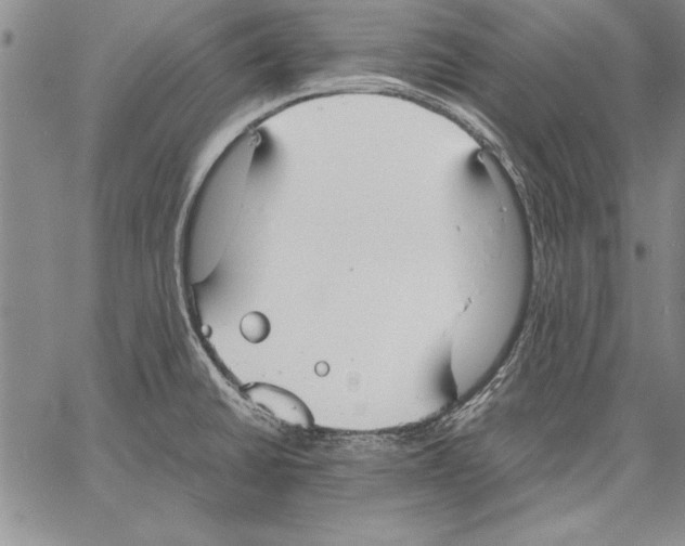 X0000060551430200512011605